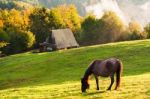 Warm Autumn Evening Stock Photo