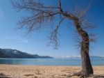 Landscape Of Lake Tahoe Stock Photo