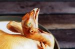 Chicken On A Tray Stock Photo