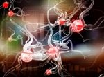 Neuron Stock Photo