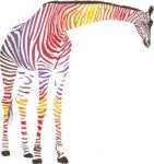 Abstract Giraffe With Zebra Skin Stock Photo