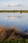 Spring Countryside Lake Landscape Stock Photo