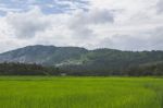 Green Field With Mountain In The Background Stock Photo