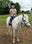 Girl Riding A Grey Pony Stock Photo