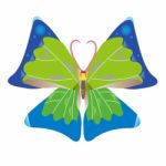 Colorful Butterfly Stock Photo