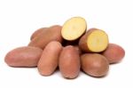 Potatoes Isolated On A White Background Stock Photo