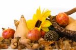 Autumn Harvest Composition With Pumpkins And Apples Stock Photo