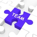 Team Puzzle Showing Partnership Teamwork Community And Unity Stock Photo