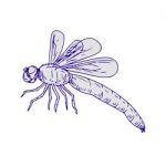 Dragonfly Flying Drawing Side Stock Photo