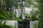 Russel Falls In Mount Field National Park Stock Photo