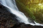 Kondalilla Falls In Kondalilla Falls National Park Stock Photo