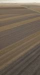 Cotton Field In The Countryside Stock Photo