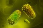 Bacteria Cells Stock Photo