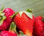 Fresh Strawberries Means Strawberry Organic And Fruit Stock Photo