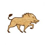 Wood Boar Marching Side Retro Stock Photo