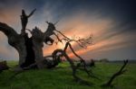 Struck By Lightning! Stock Photo