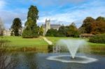 Trees And Lake In The Grounds Of The Ashdown Park Hotel Stock Photo