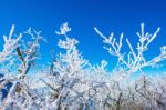 Landscape In Winter,deogyusan In Korea Stock Photo