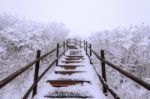 Wooden Stairs On A Hillside In Winter. Deogyusan Mountains In South Korea Stock Photo