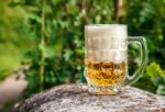 Glass Mug With Beer Standing On The Big Stone Stock Photo