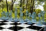 Chess Board Game In Forest Garden Stock Photo