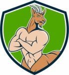 Pan Faun Satyr Crest Cartoon Stock Photo