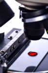 Blood Drop Sample On Test Glass Plate Under Microscope Lens Stock Photo