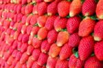 Fresh Strawberries Stock Photo