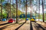 Camping Tents Under Pine Trees With Sunlight At Pang Ung Lake, Mae Hong Son In Thailand Stock Photo