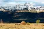 Jackson, Wyoming/usa - September 30 : View Of Mormon Row Near Ja Stock Photo