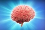 Human Brain 3d Model Stock Photo