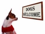 Dogs Welcome Sign Stock Photo