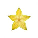 Sliced Starfruit Stock Photo