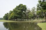 Blurred Image Of Green Park Scenery With Pond Stock Photo