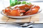 Close Up Singapore Chilli Mud Crab Stock Photo