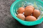 Egg In The Plastic Basket Stock Photo