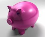 Piggy Bank Shows Savings Accounts Stock Photo