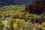 Cottonwood Trees Along The Virgin River Valley Stock Photo