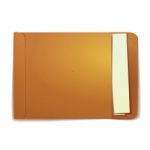 Brown Envelope Stock Photo