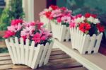 Artificial Flowers Pot Stock Photo