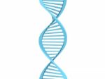 Dna Stock Photo