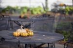 Pumpkins On Table Stock Photo