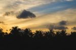 Sunset Behind Silhouettes Of Palm Trees Stock Photo