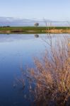 Spring Countryside Lake Landscape Stock Photo