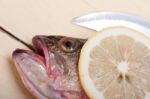 Fresh Whole Raw Fish Stock Photo