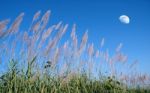 Blue Sky Stock Photo