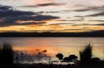 Moulting Lagoon In Tasmania, Australia Stock Photo