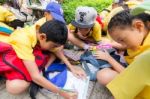 Primary Students Visit The Zoo, In The Jul 27, 2016. Bangkok Thailand Stock Photo