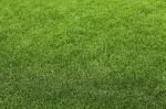 Artificial Grass Stock Photo