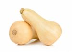 Butternut Squash Isolated On The White Stock Photo